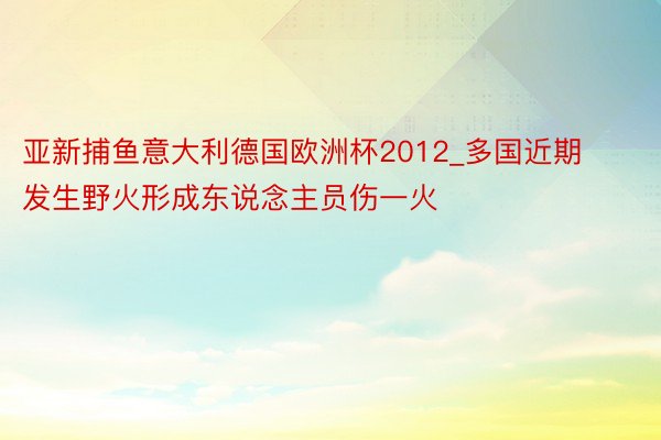 亚新捕鱼意大利德国欧洲杯2012_多国近期发生野火形成东说念主员伤一火