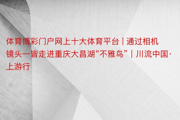 体育博彩门户网上十大体育平台 | 通过相机镜头一皆走进重庆大昌湖“不雅鸟”｜川流中国·上游行